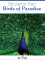 Ran, S :: Birds of Paradise