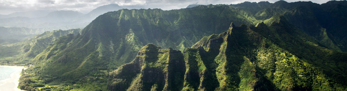 Hawaii Flute Trunk Show