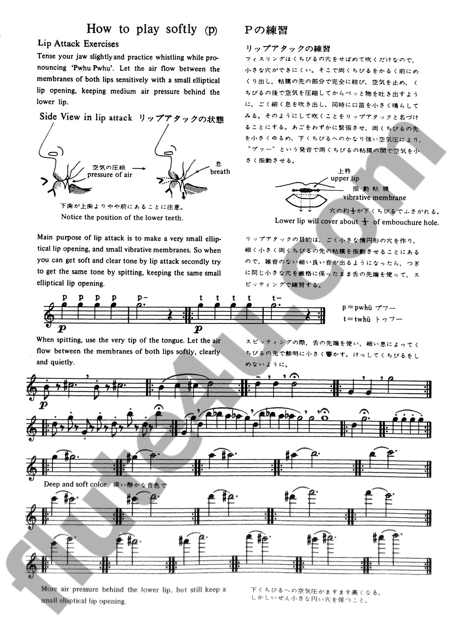 Takahashi, T :: Suzuki Flute School Volume 3 Flute Part