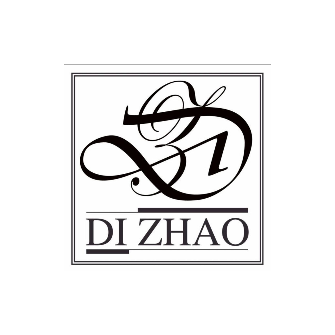 Di Zhao Piccolo DZP-101 ABS Plastic
