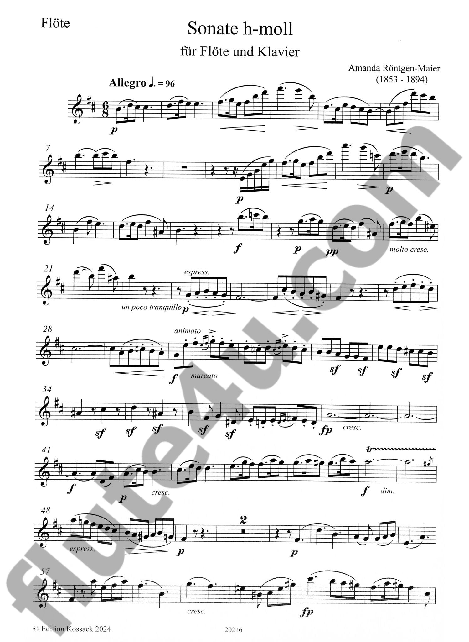 Rontgen-Maier, A :: Sonate h-moll [Sonata in B minor]