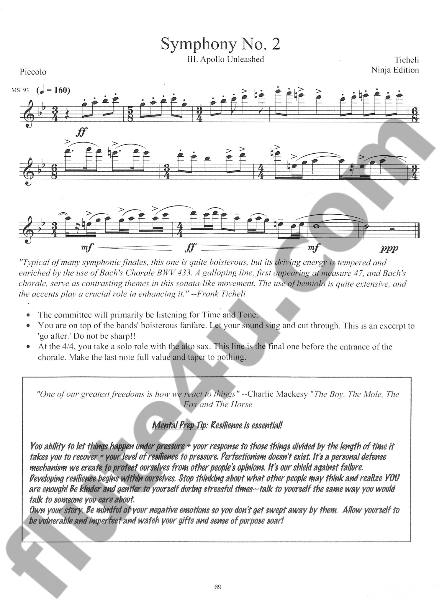 Various :: Flute & Piccolo Excerpts for Wind Band, Vol. 1