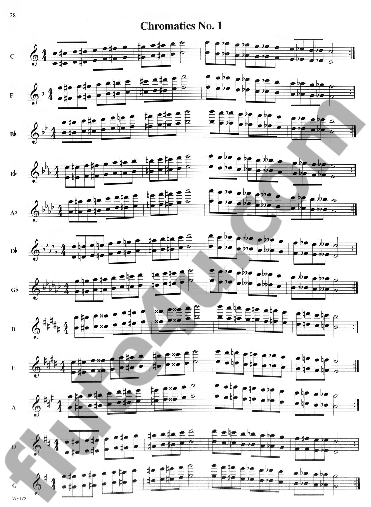 Clark, L :: The Complete Scale Compendium