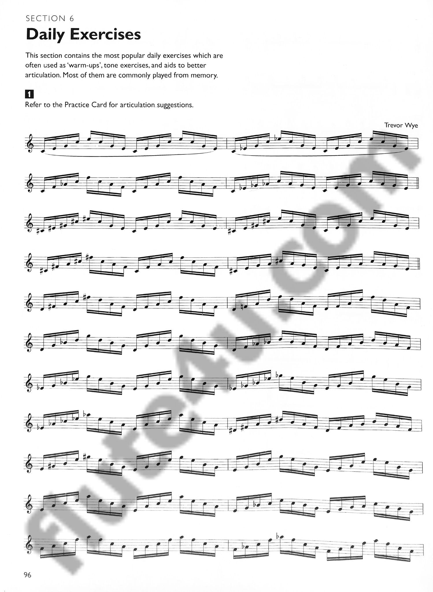 Wye, T :: Complete Daily Exercises for the Flute