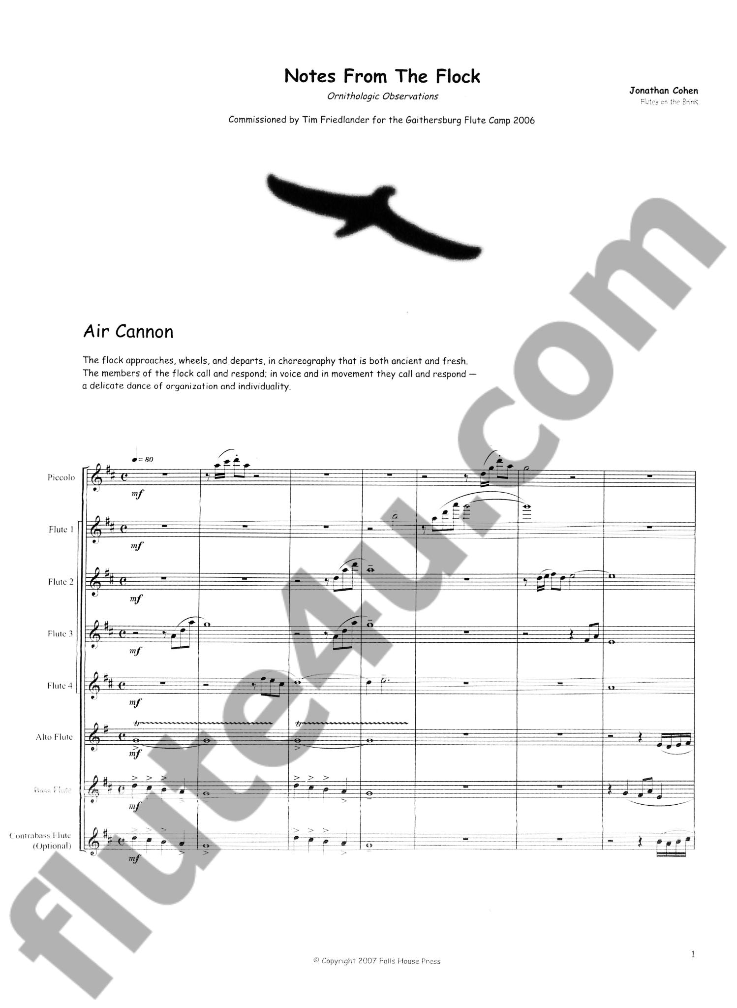 Cohen, J :: Notes from the Flock
