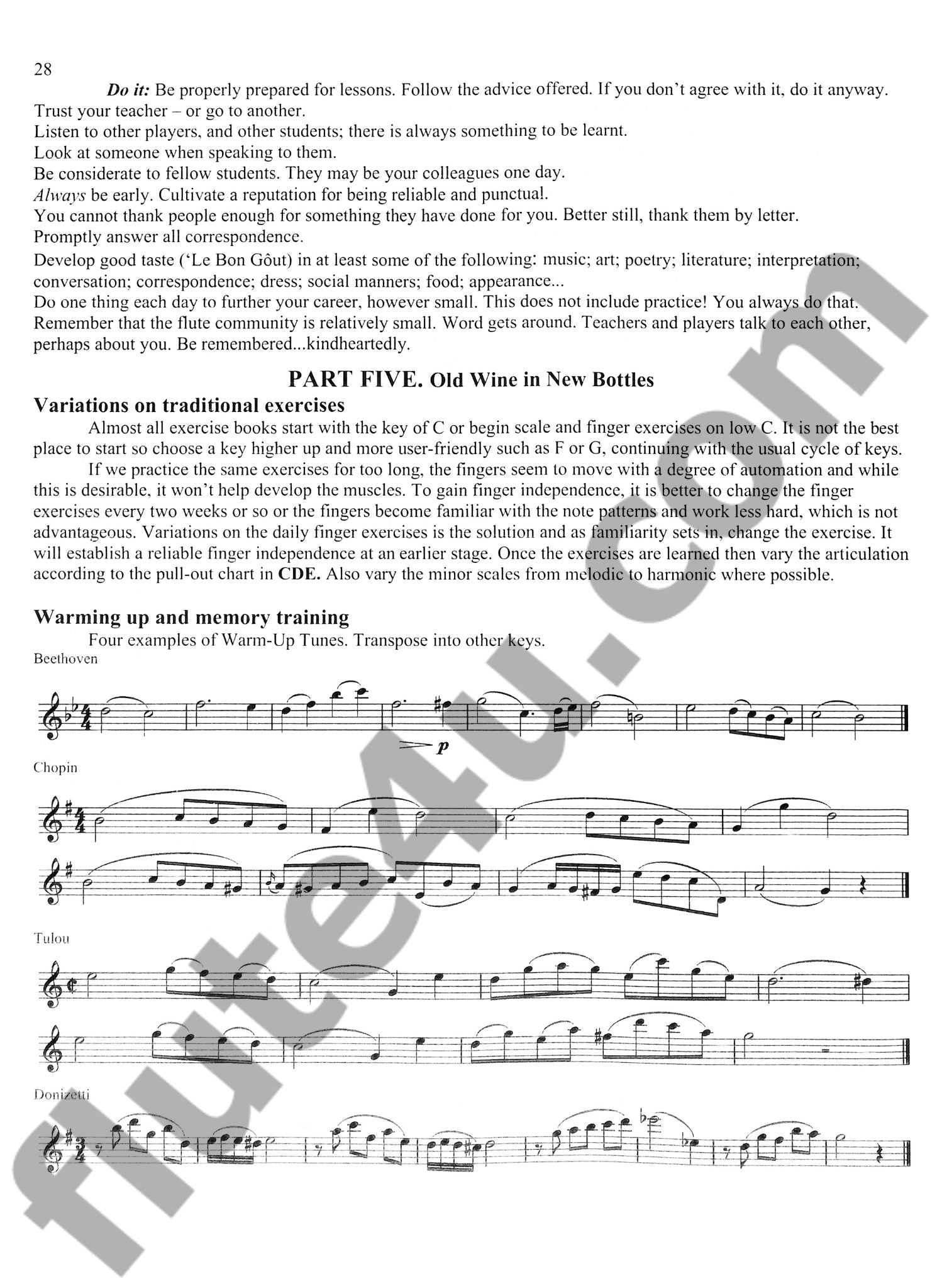 Wye, T :: Looking at More Efficient Practice on the Flute
