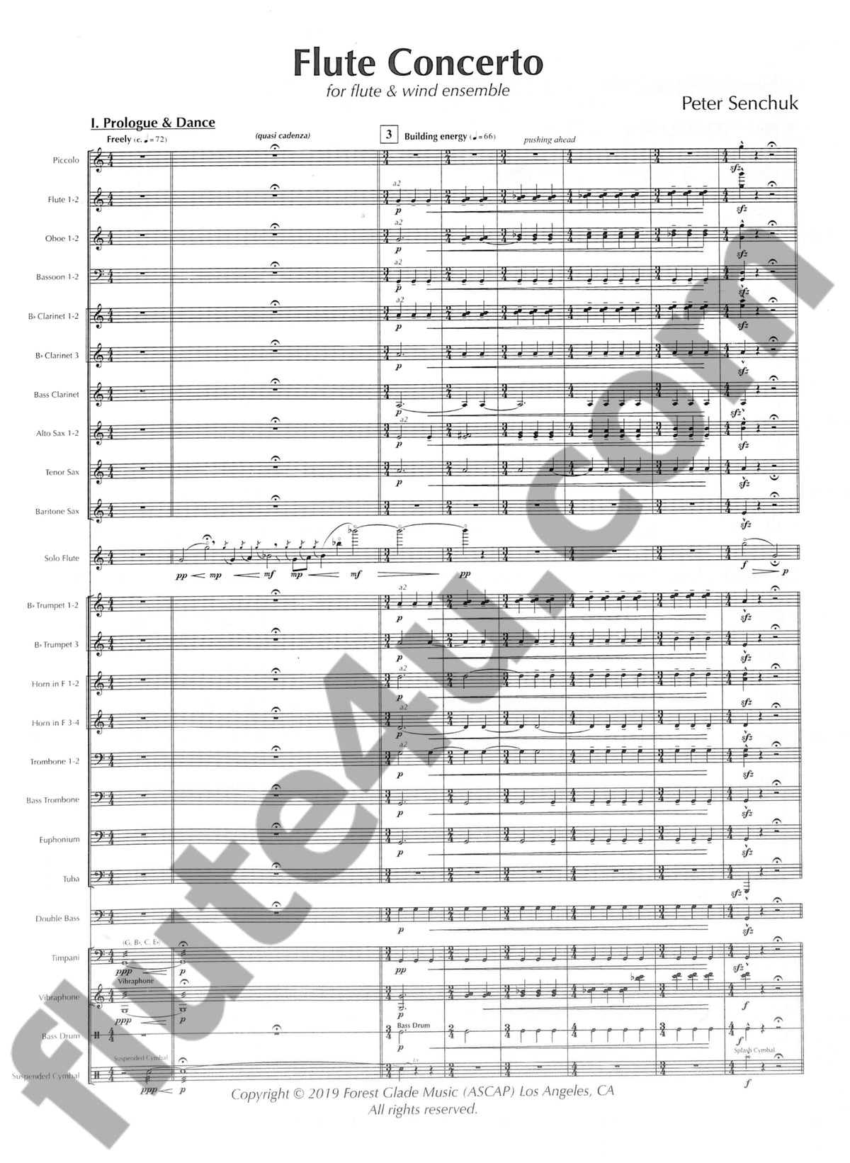 Senchuk, P :: Flute Concerto