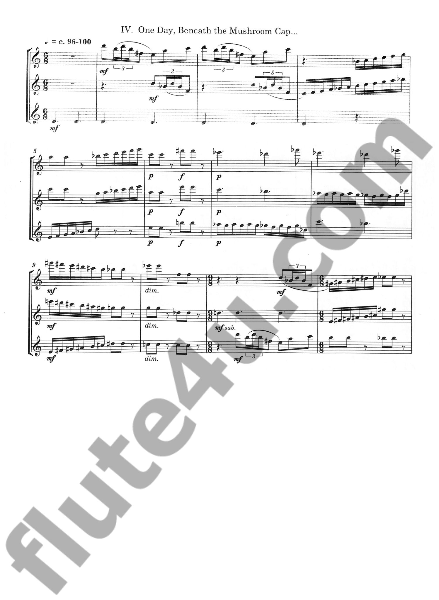 Schocker, G :: Flutes in the Garden