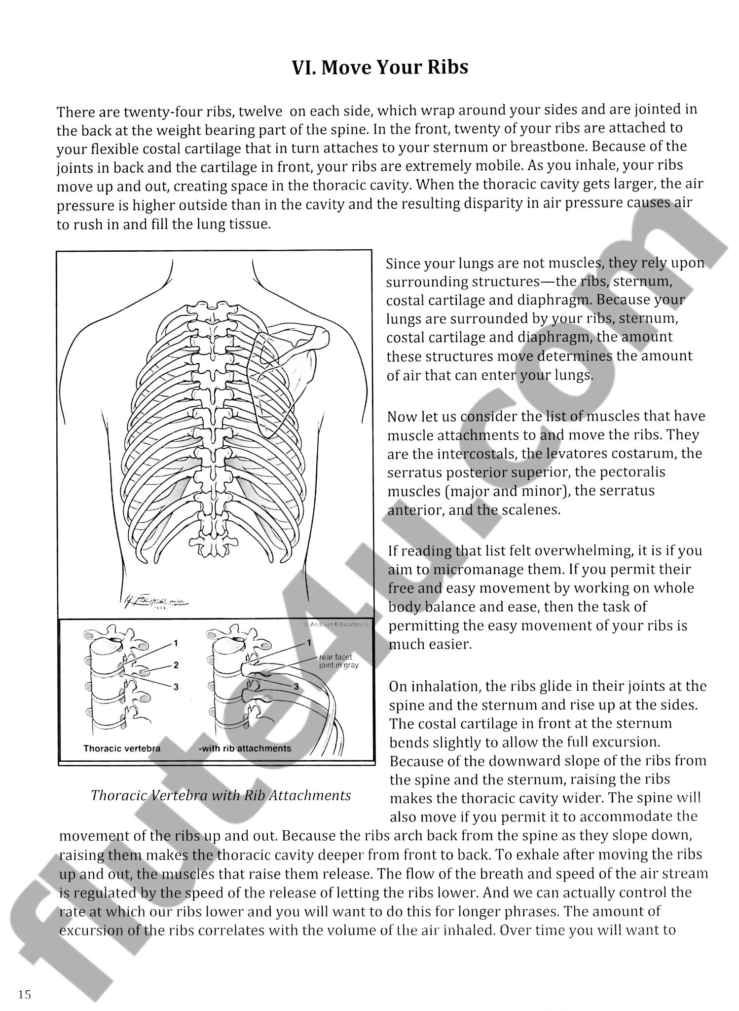 The Breathing Book