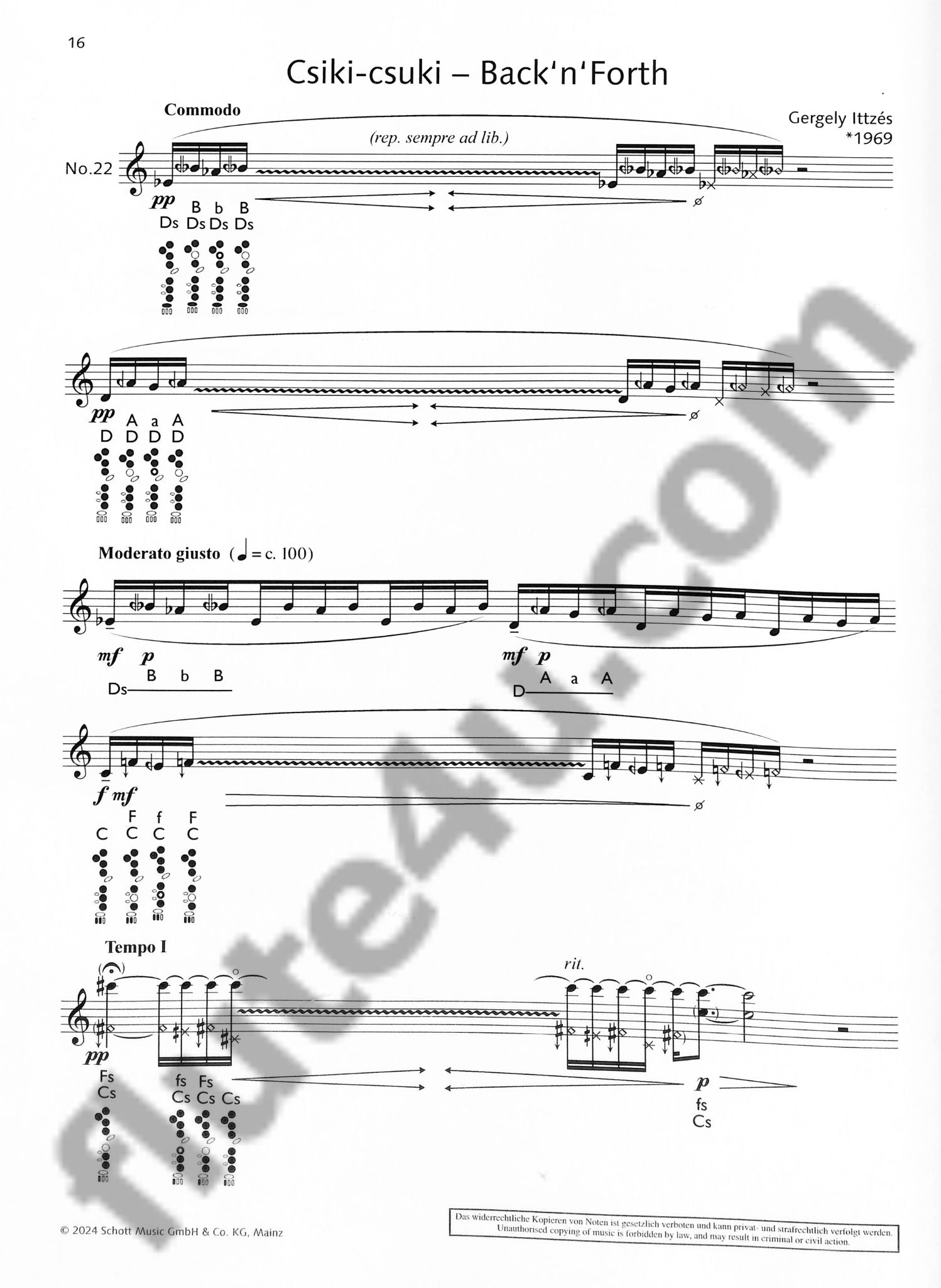 Ittzes, G :: The Flute Expedition, Vol. 2