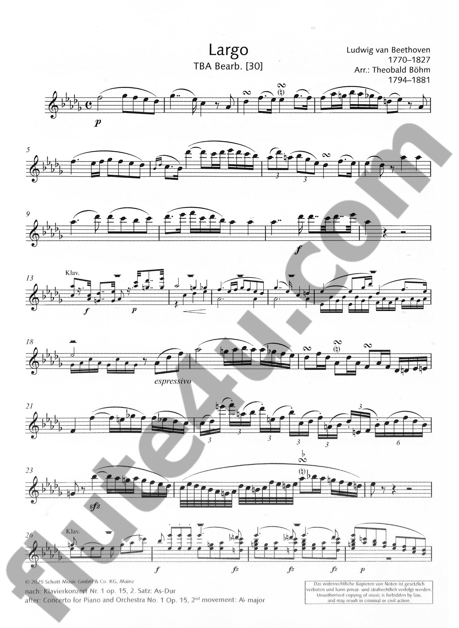 Various :: Bearbeitungen der Wiener Klassik [Arrangements of the First Viennese School]