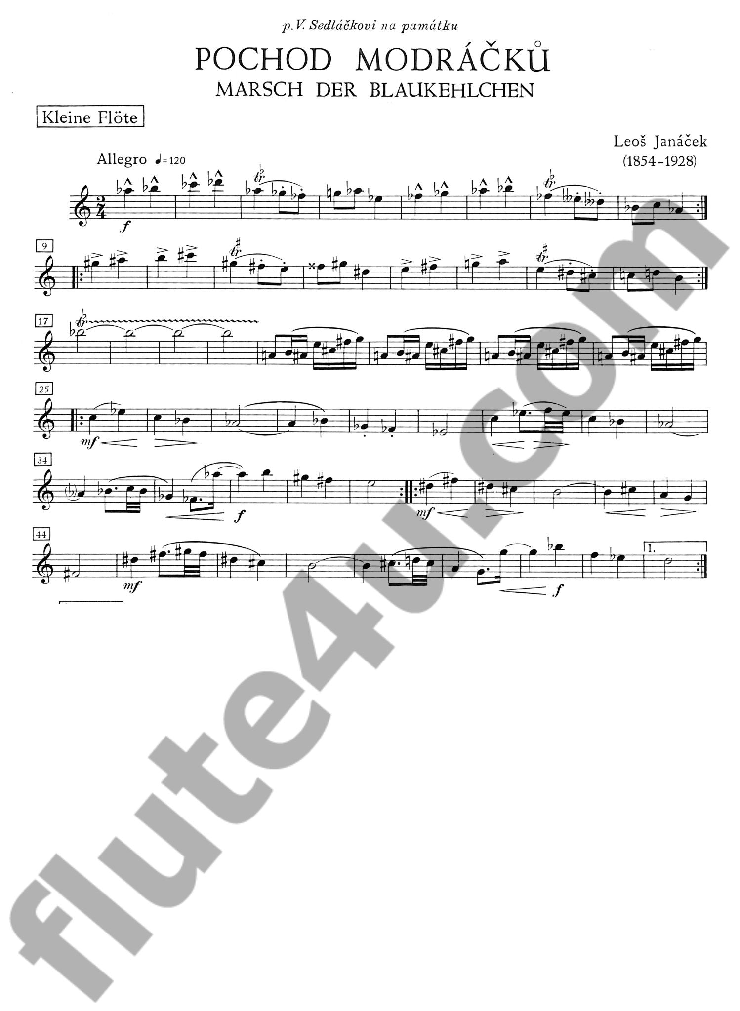 Janacek, L :: Marsch der Blaukehlchen [March of the Bluebreasts]