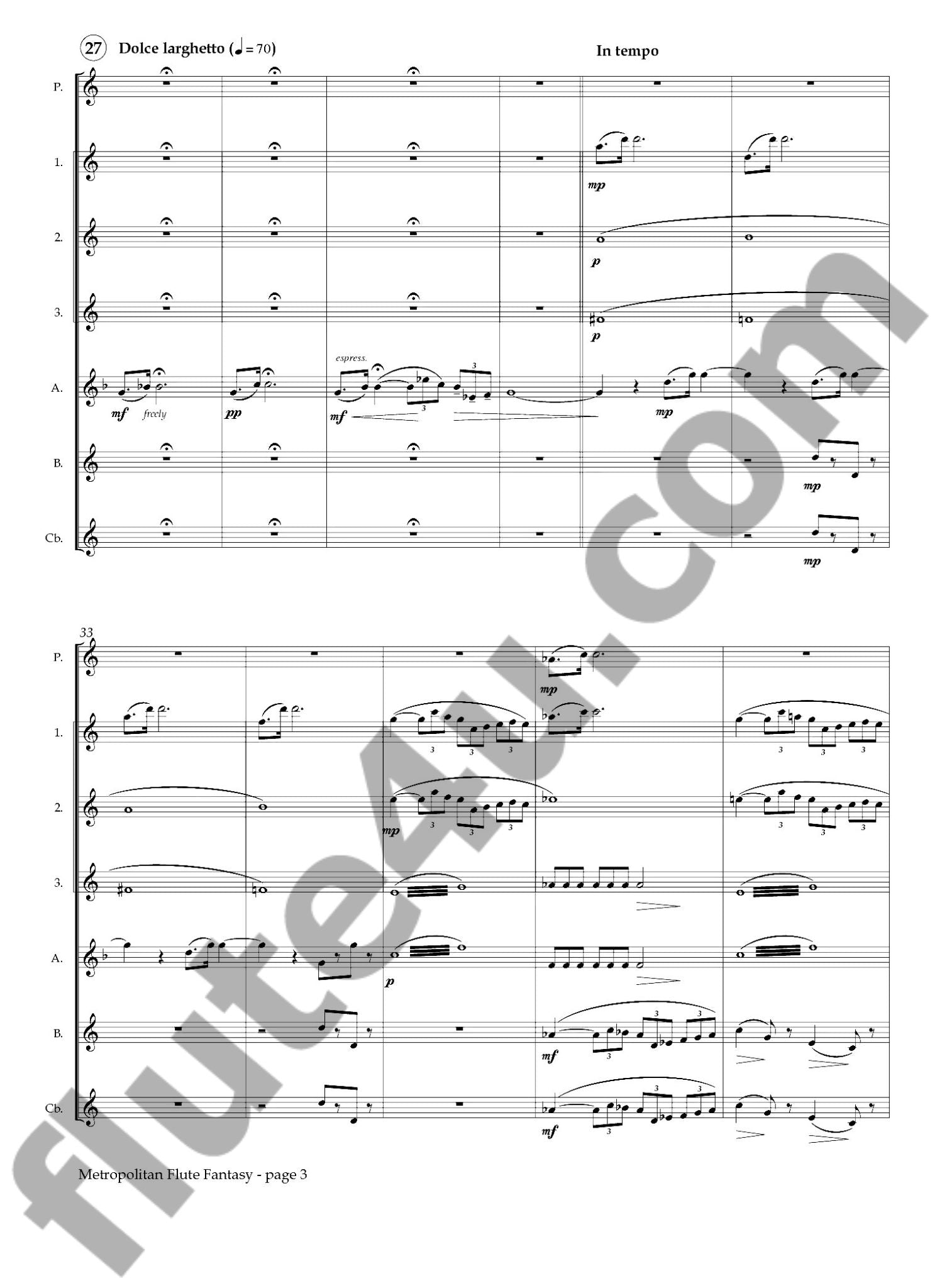 Long, PD :: Metropolitan Flute Fantasy
