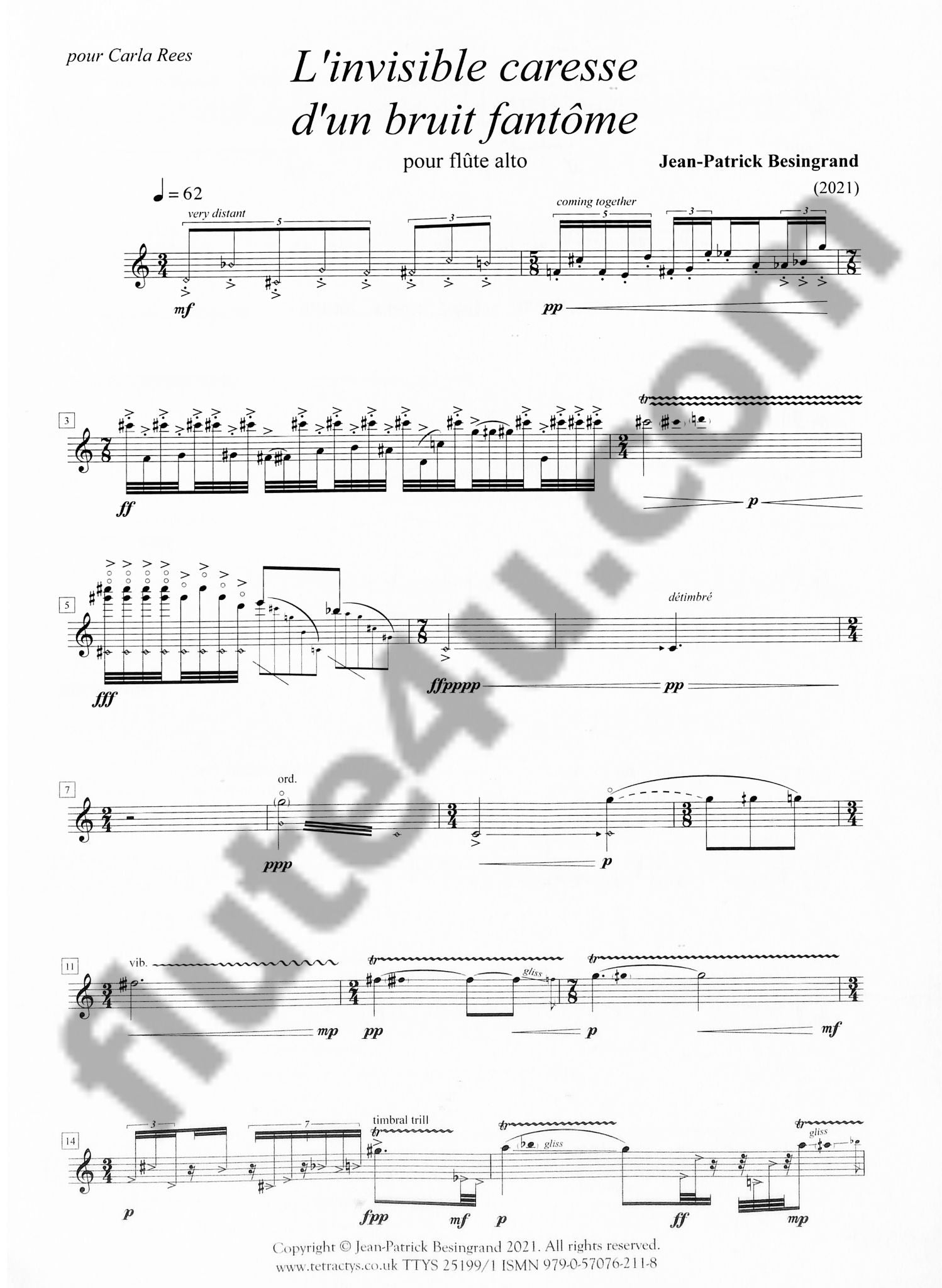 Besingrand, J :: L'invisible caresse d'un bruit fantome [The Invisible Caress of a Ghostly Noise]
