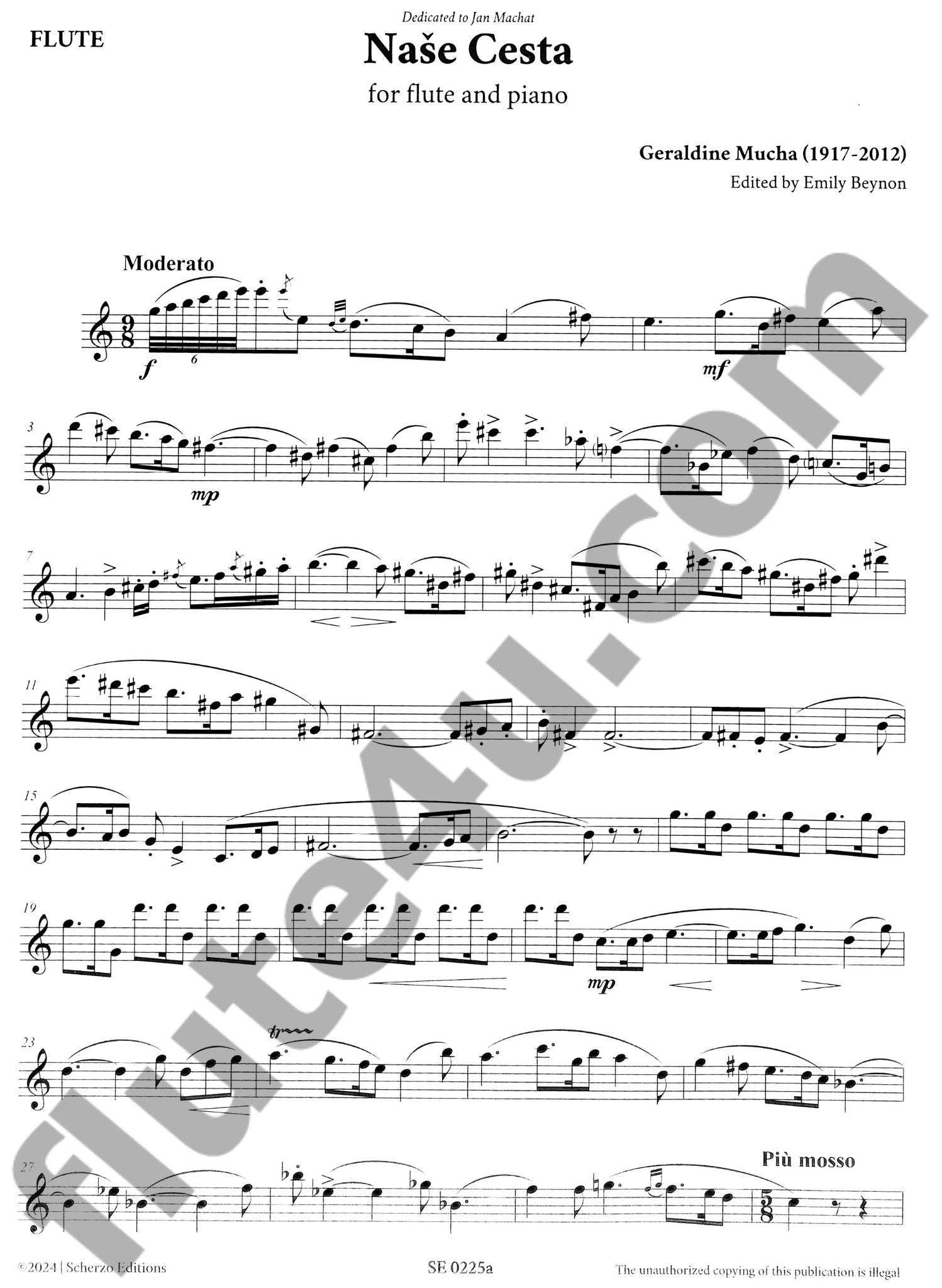 Mucha, G :: Nase Cesta [Our Journey]