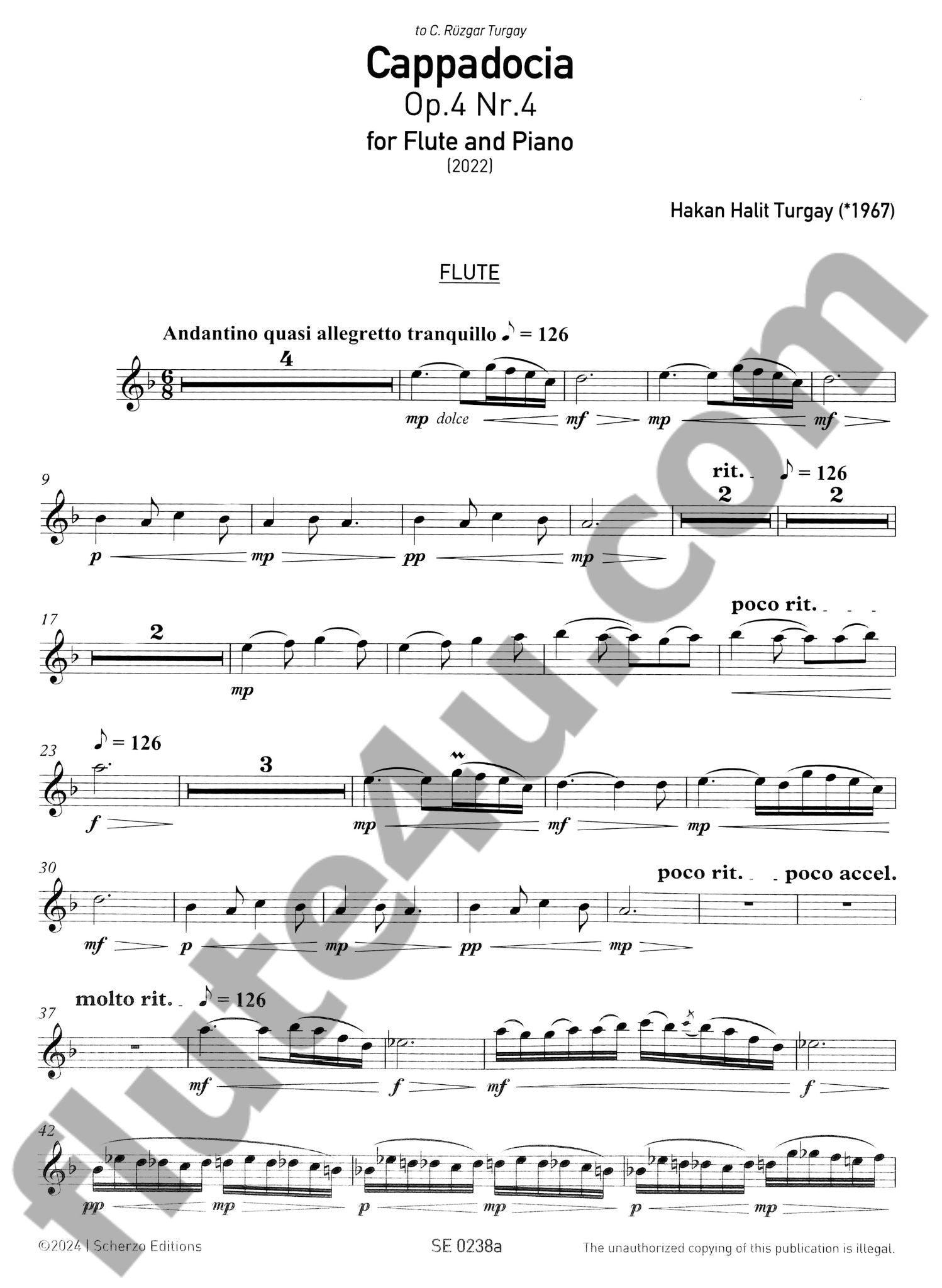 Turgay, HH :: Cappadocia, Op. 4, Nr. 4