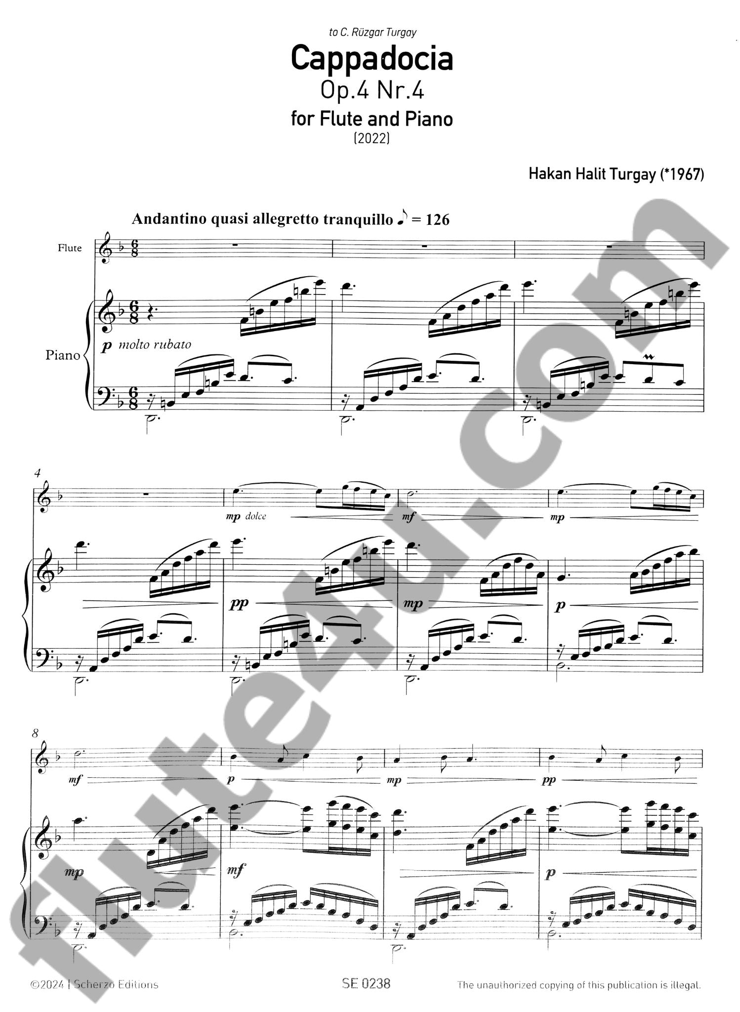 Turgay, HH :: Cappadocia, Op. 4, Nr. 4