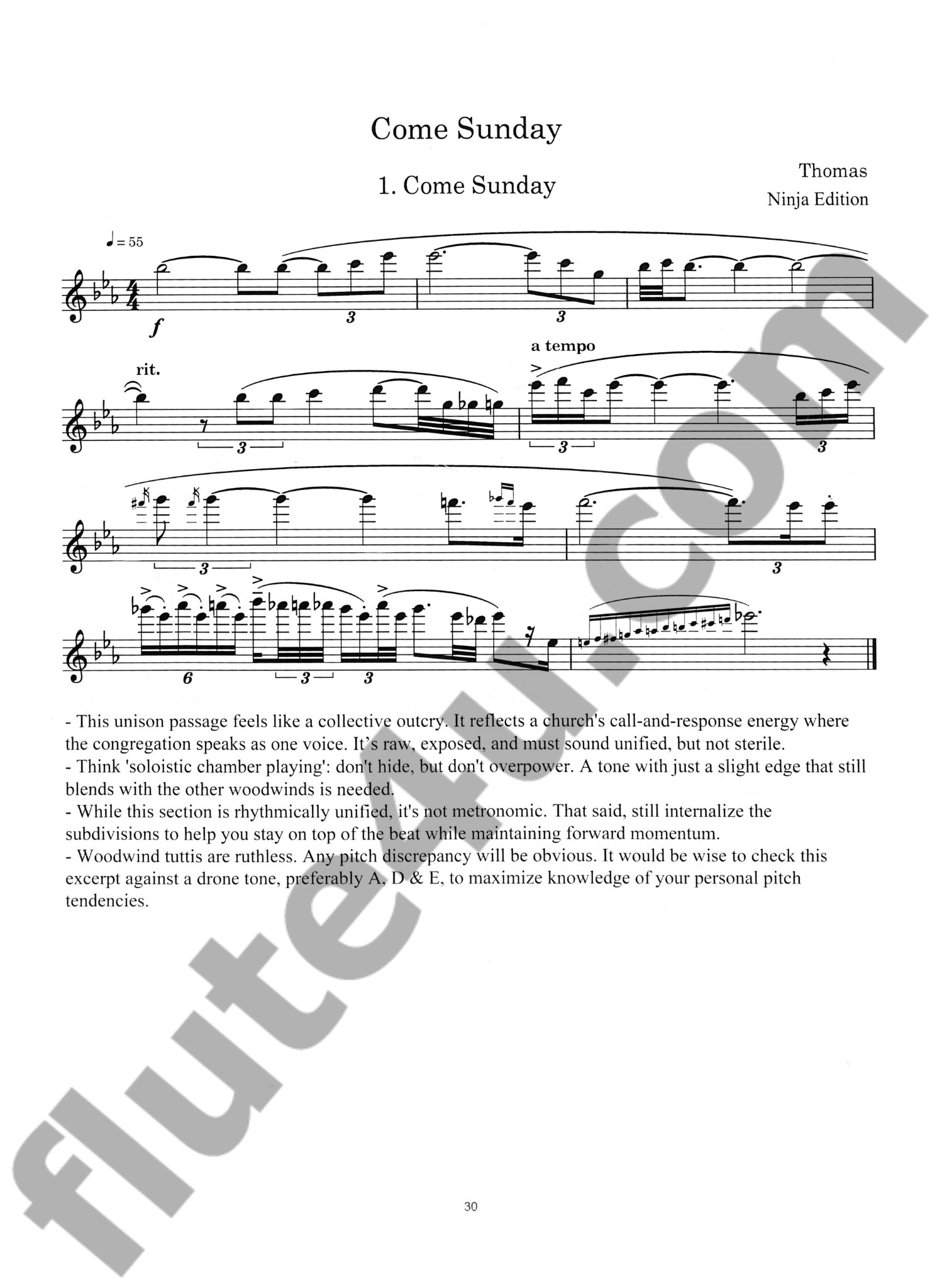 Various :: Flute & Piccolo Excerpts for Wind Band, Vol. 2