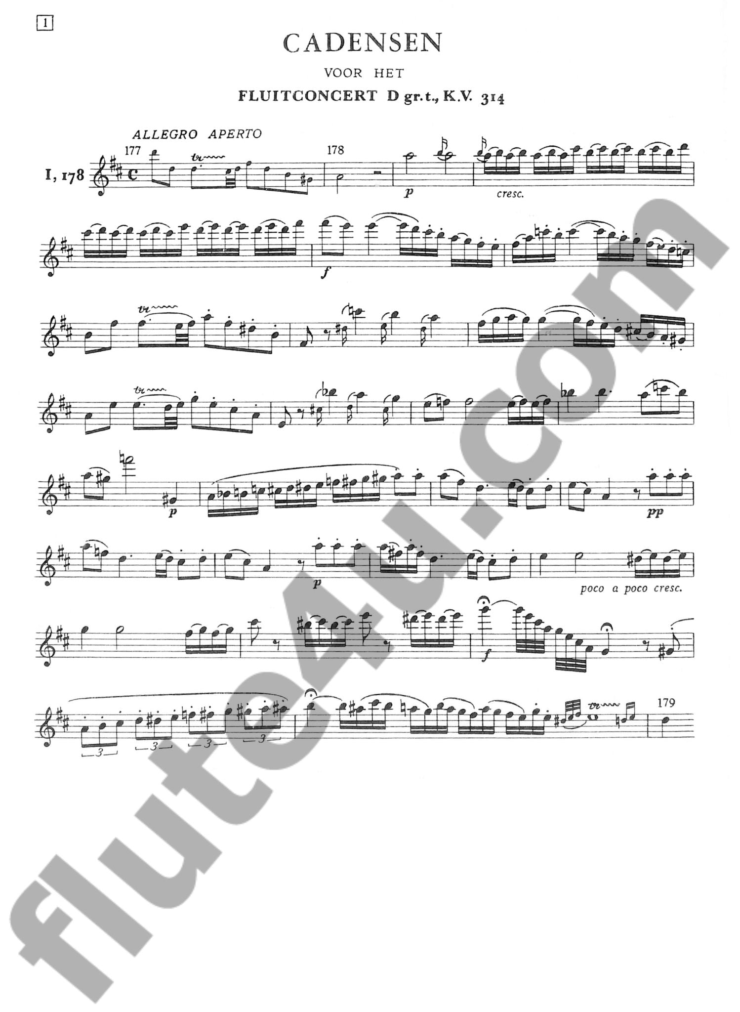 Flothuis, M :: Cadensen [Cadenzas]