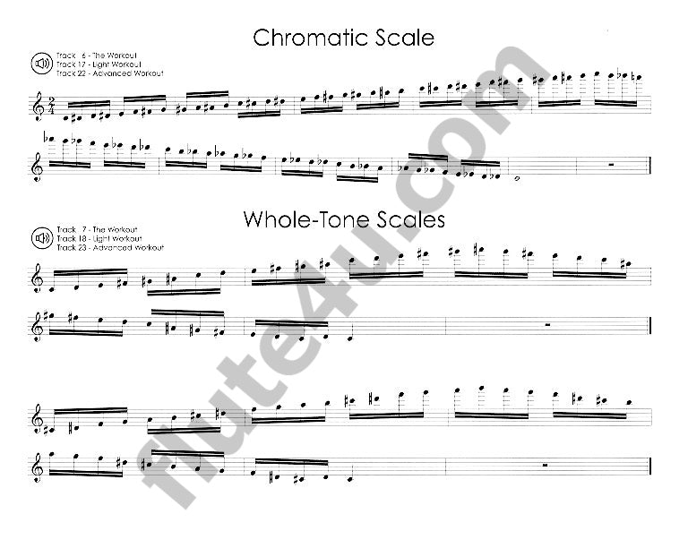 Garner Santa, L; Santa, M; Hughes, T :: Flute/Theory Workout