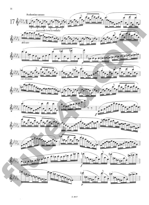 Virtuose Etuden op. 75 II [Virtuoso Studies op. 75 II]