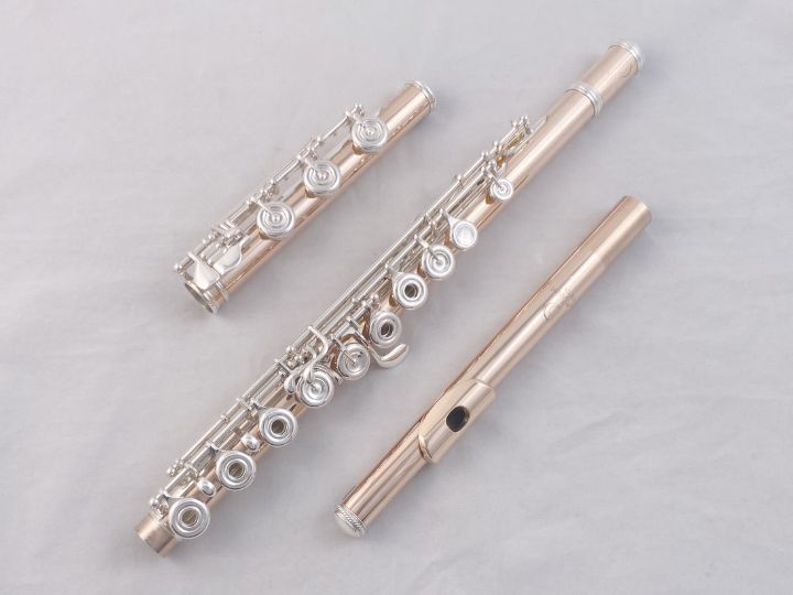 Burkart Flute Professional 9K Gold on Sterling Silver (9K/Ag)