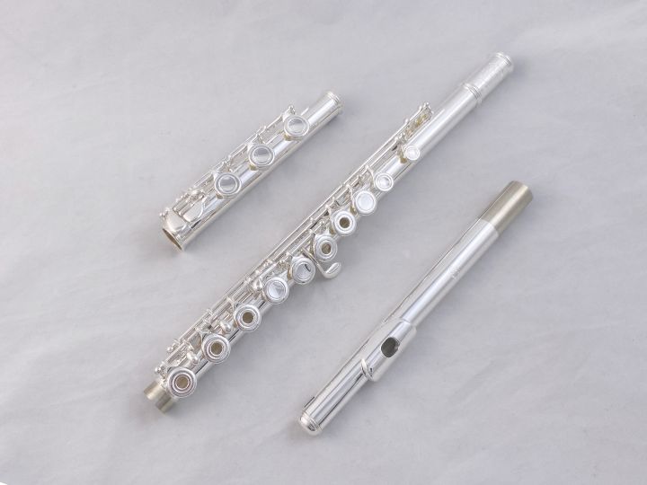 Di Zhao Flute DZ-401