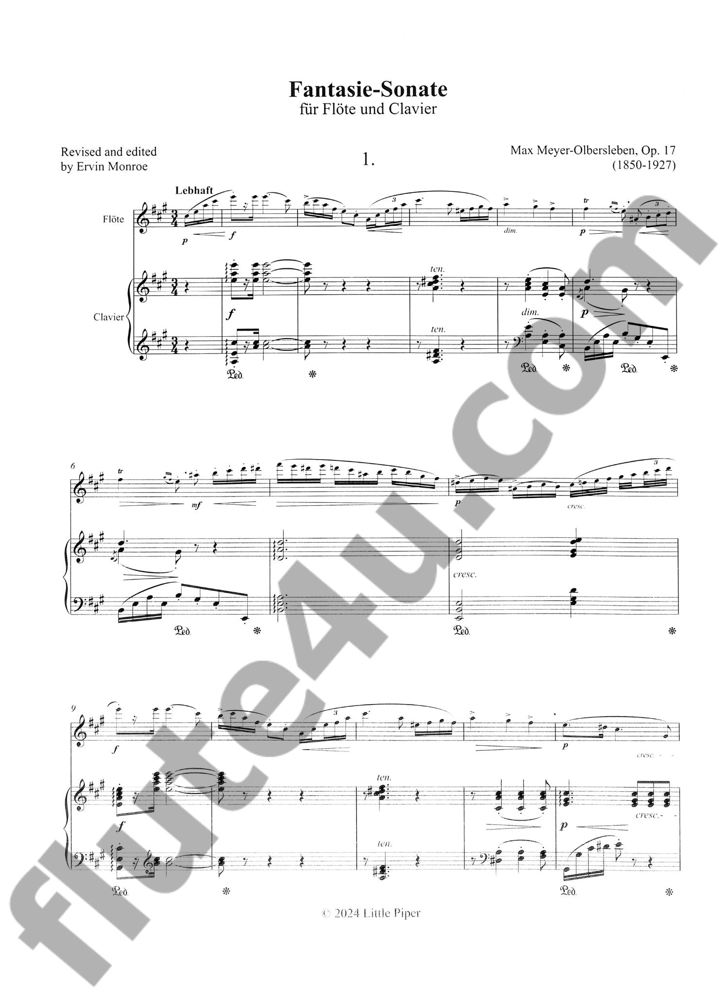 Meyer-Olbersleben, M :: Fantasie-Sonate op. 17 [Fantasy Sonata op. 17]