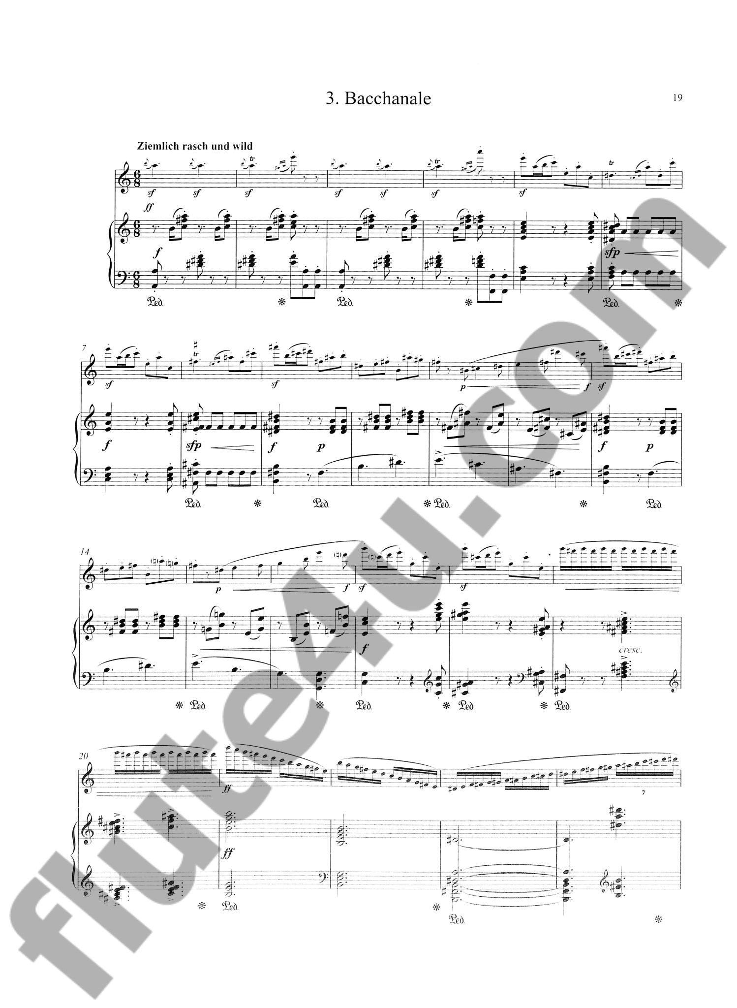 Meyer-Olbersleben, M :: Fantasie-Sonate op. 17 [Fantasy Sonata op. 17]
