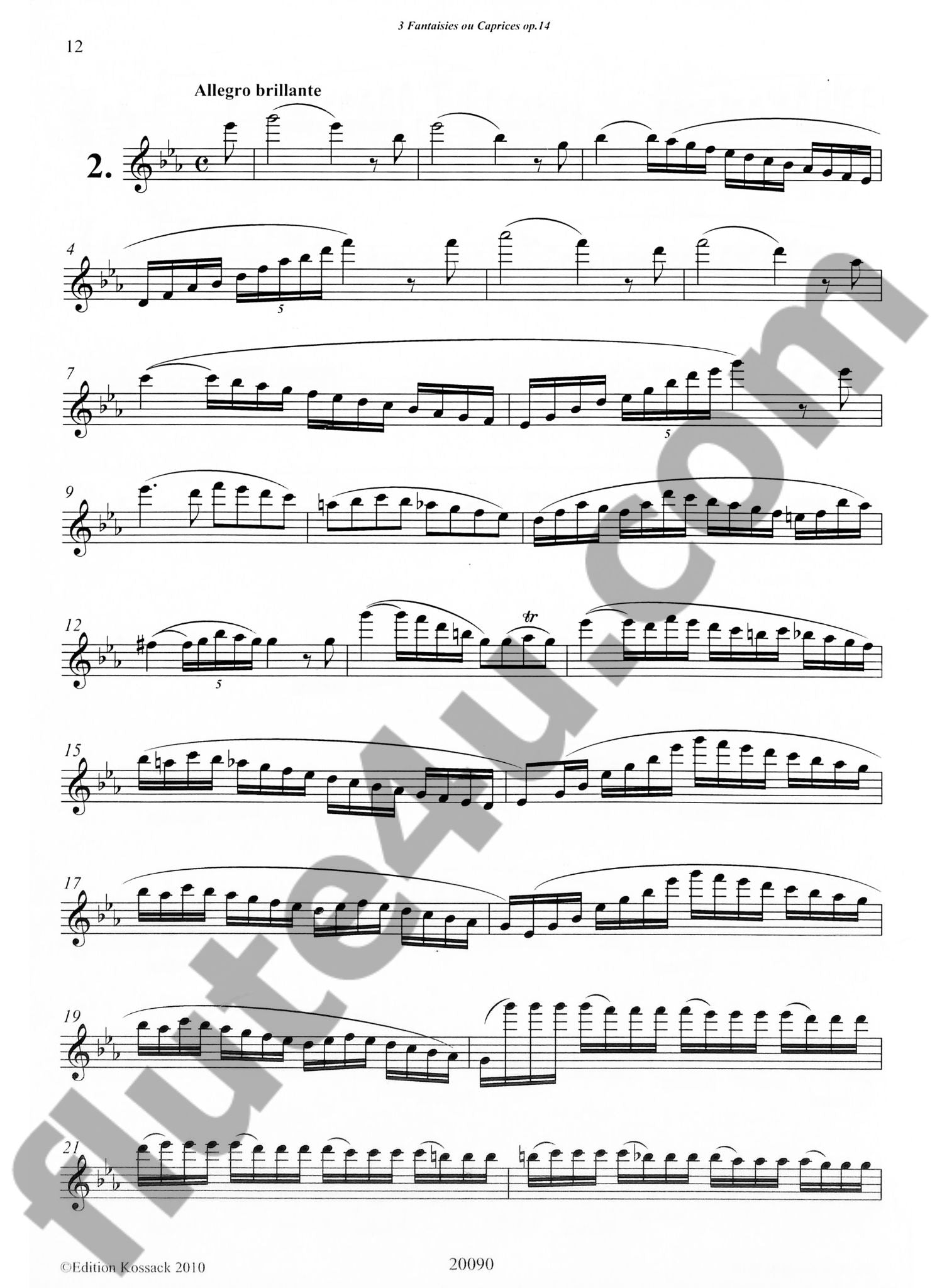 Jensen, NP :: 3 Fantasien oder Capricen, op. 14 [3 Fantasies or Caprices, op. 14]
