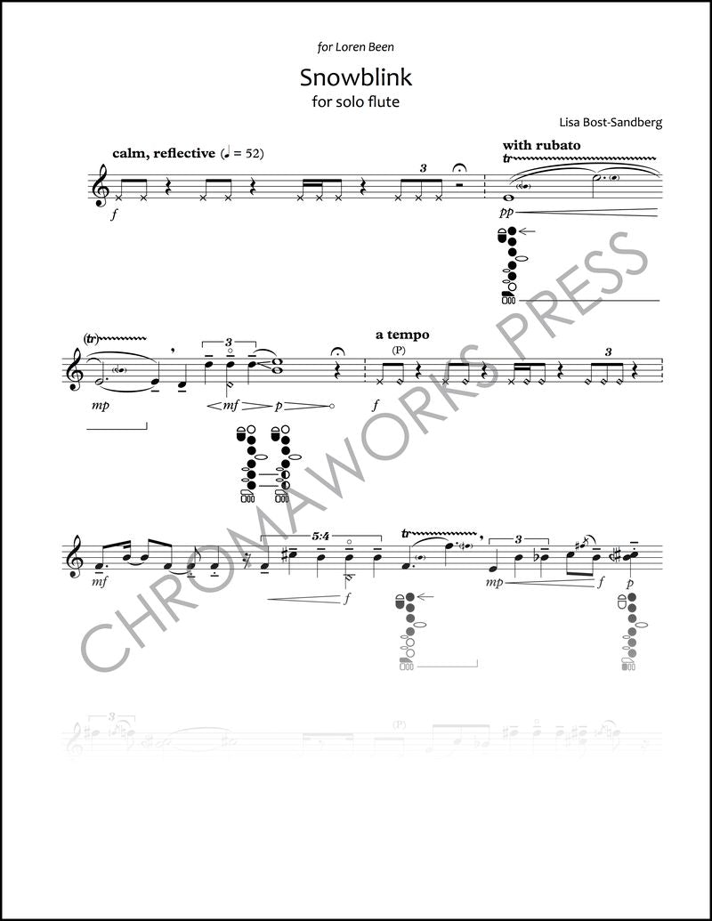 Bost-Sandberg, L :: Snowblink