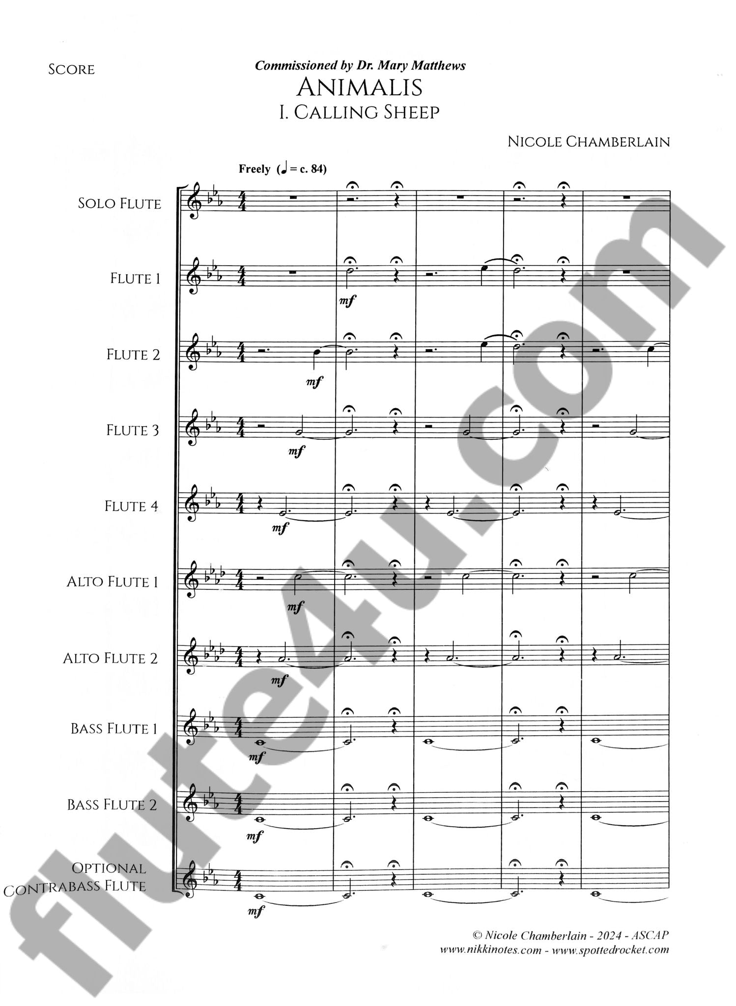 Chamberlain, N :: Animalis