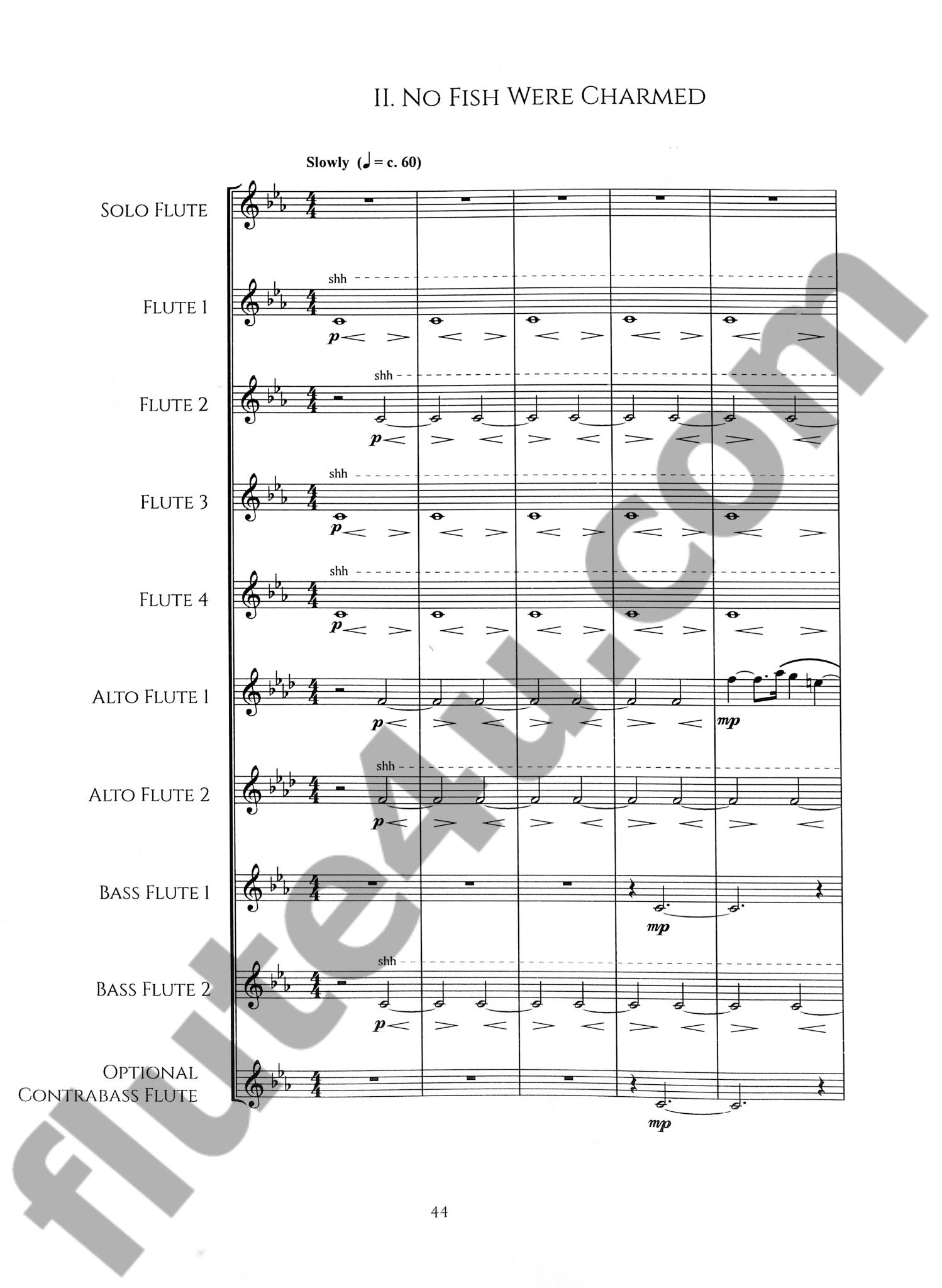 Chamberlain, N :: Animalis