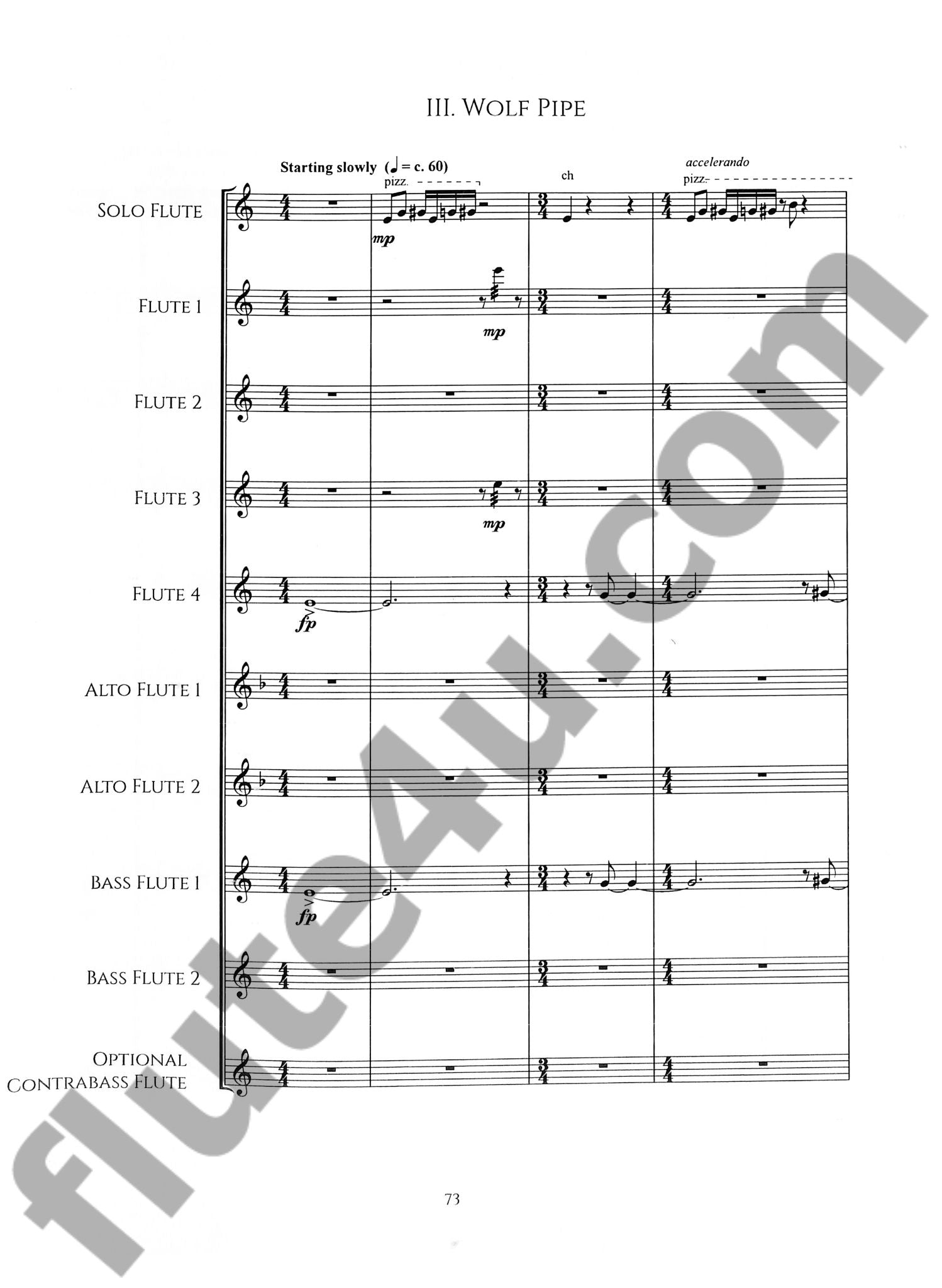 Chamberlain, N :: Animalis