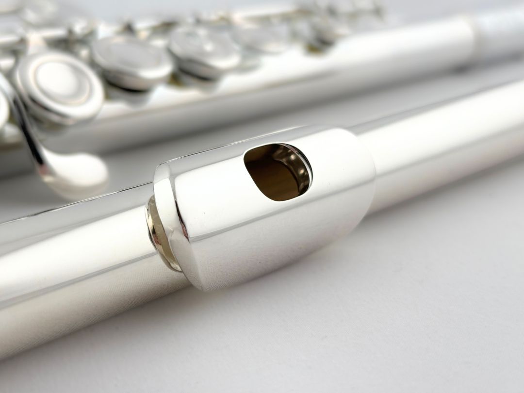 Selmer Flute SFL301 Series (New)