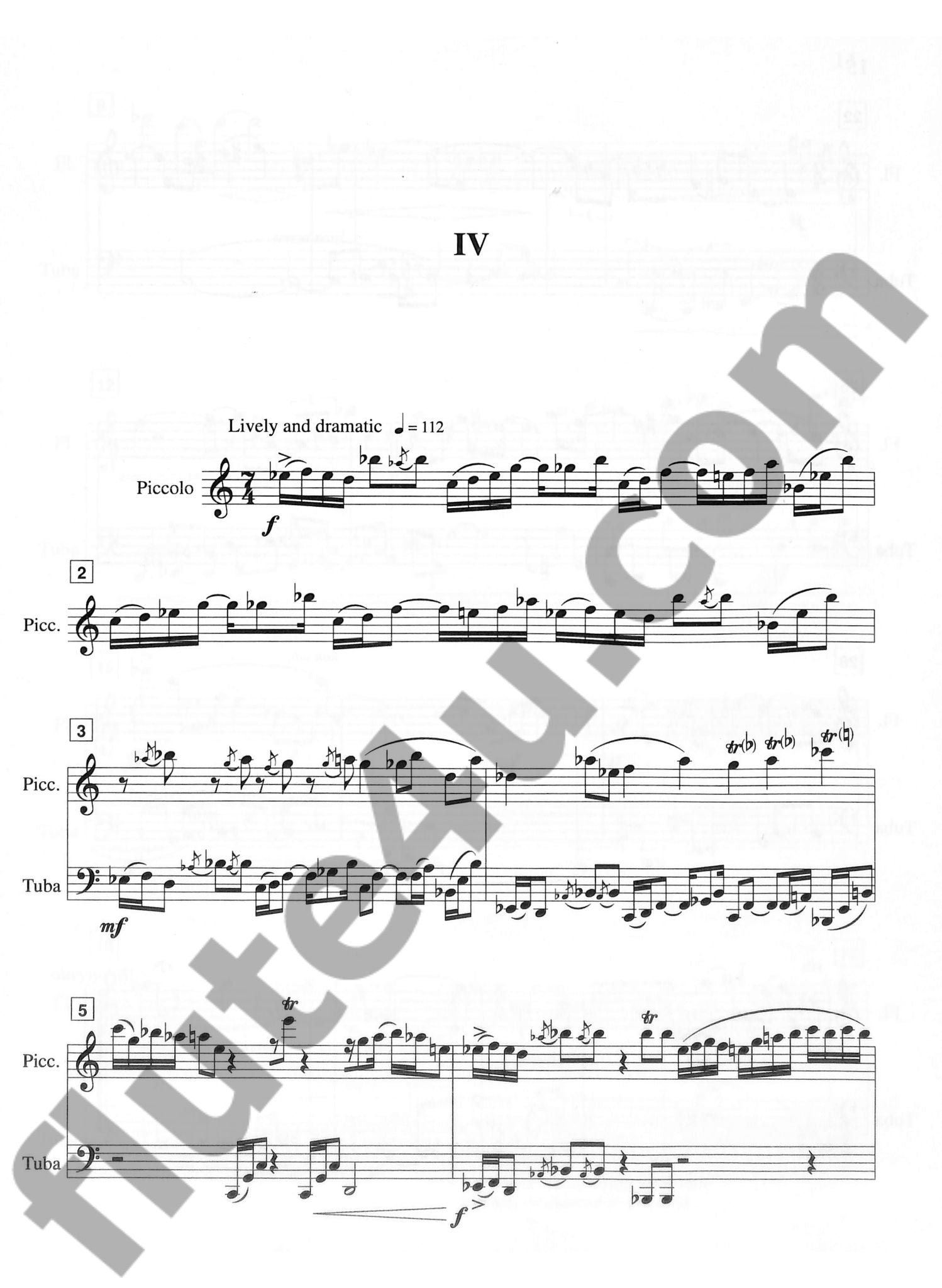 Gaines, D :: Duo for Flute and Tuba