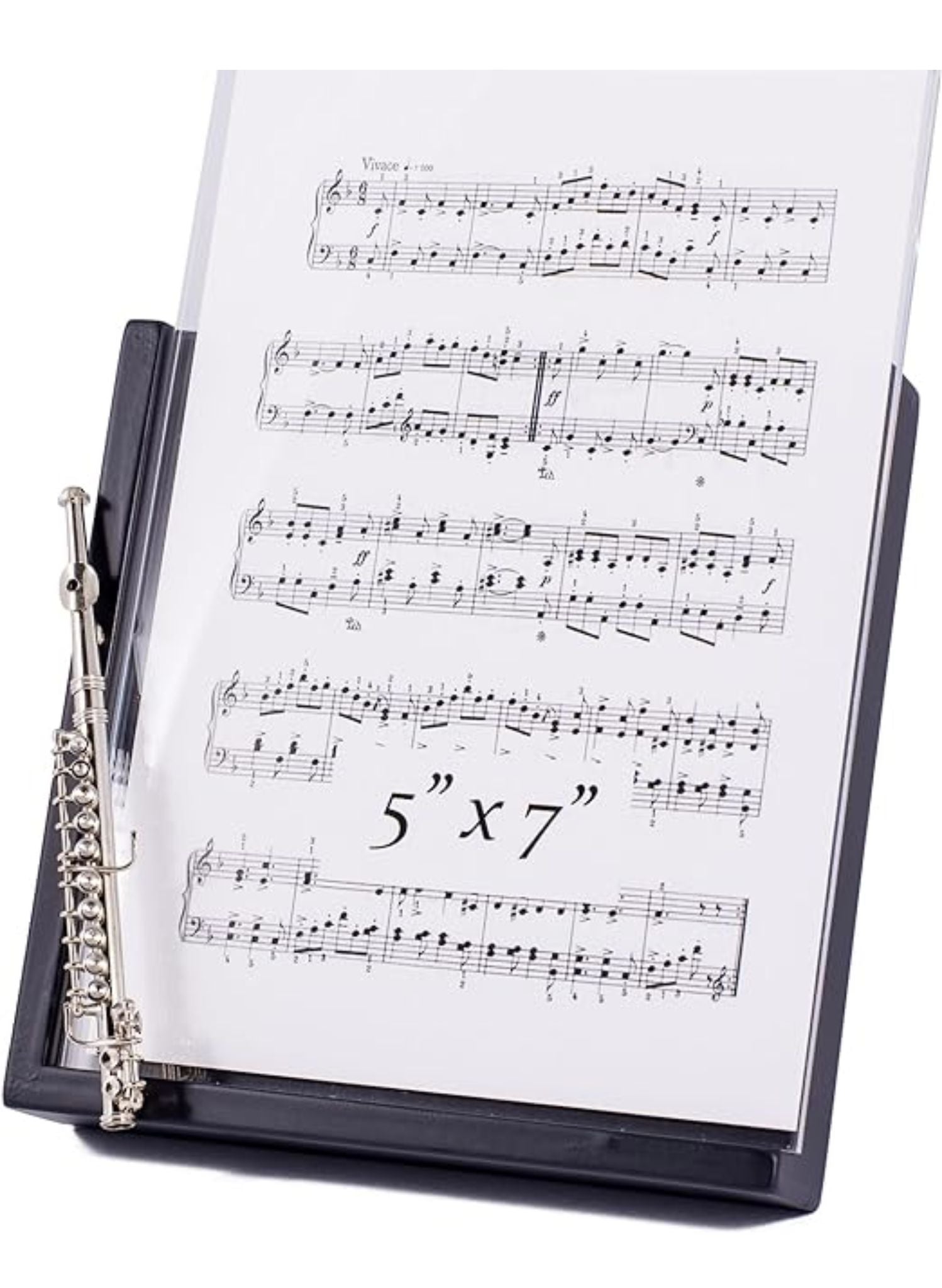 Frame - Black with Silver Flute 5x7