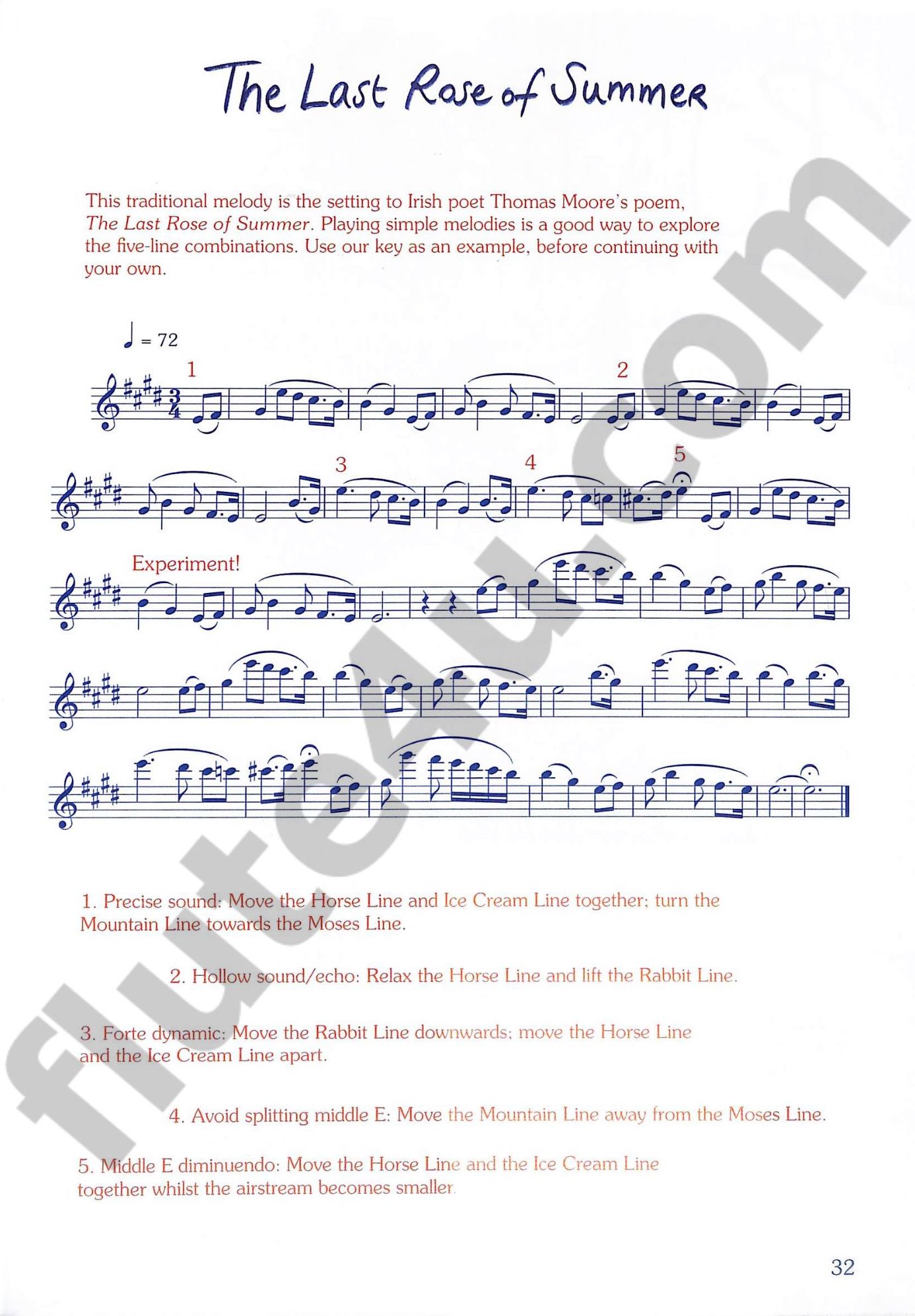 Verhoyen, P; Lauwers, A; Miller, S :: Peter's Piccolo World, Book 1