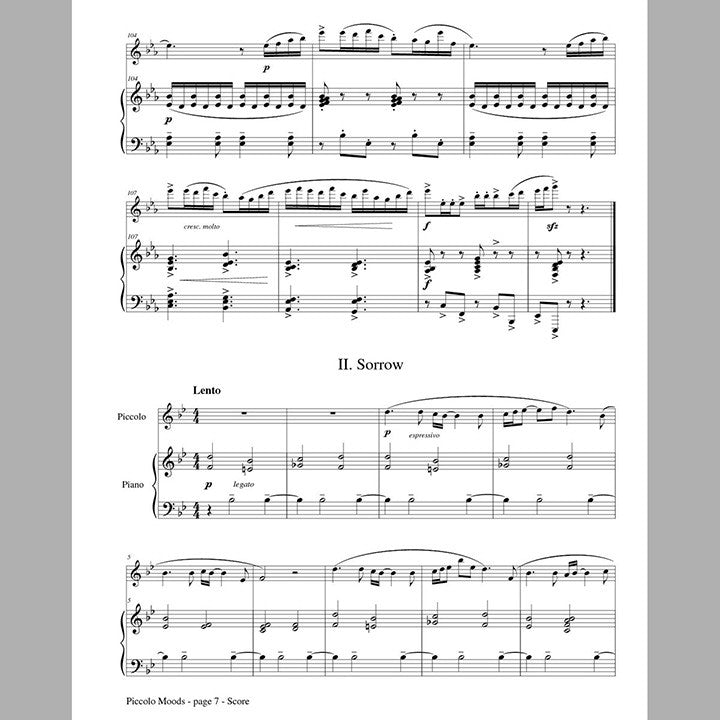 Pucihar, B :: Piccolo Moods