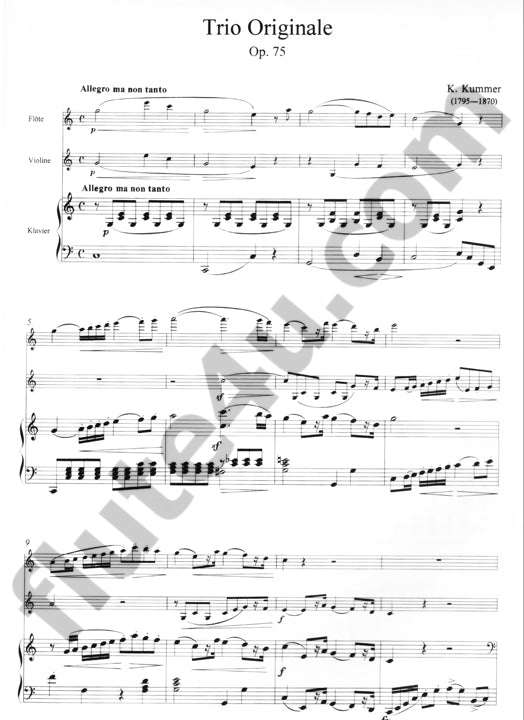 Kummer, K :: Trio Originale op. 75 [Original Trio op. 75]