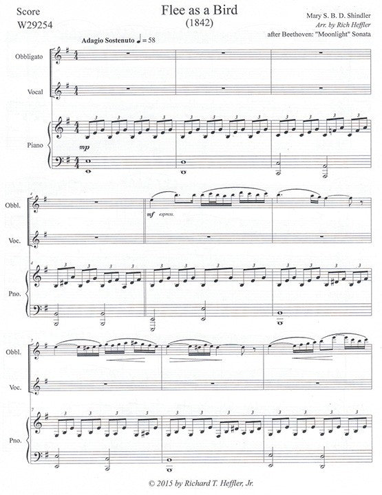Shindler, M :: Flee as a Bird