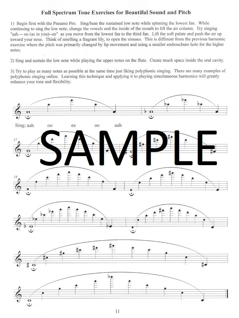 Blocki, K :: Planning to Play in Tune