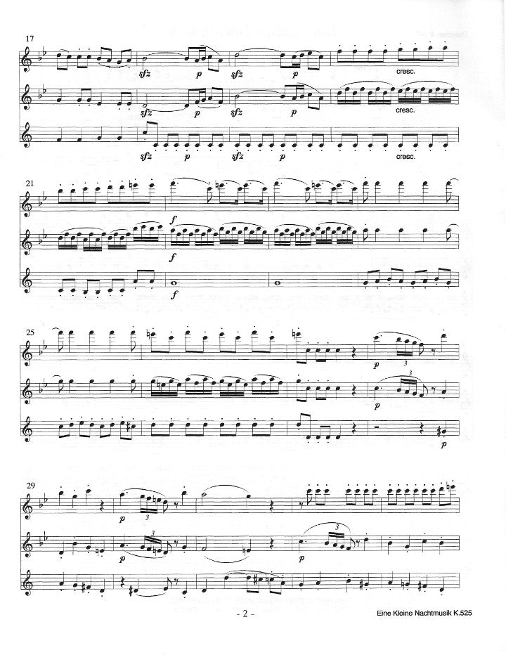 Mozart, WA :: Eine Kleine Nachtmusick [A Little Night Music]