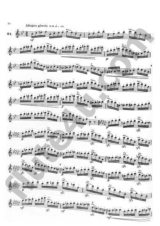 Various :: Famous Flute Studies and Duets