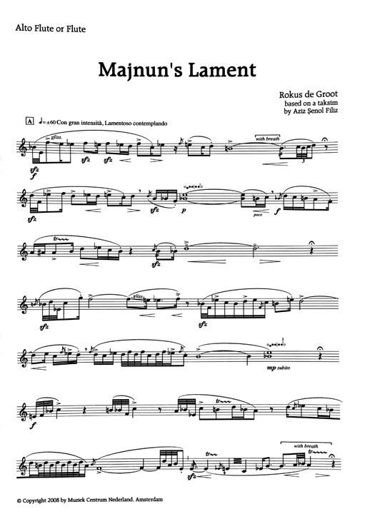 de Groot, R :: Majnun's Lament