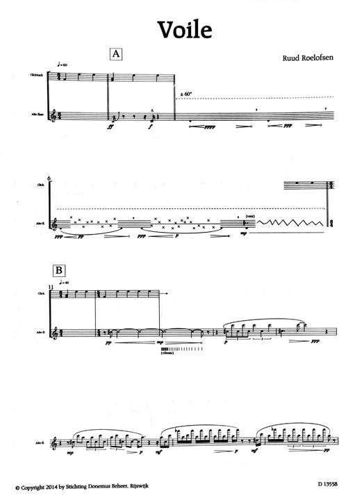 Roelofsen, R :: Voile