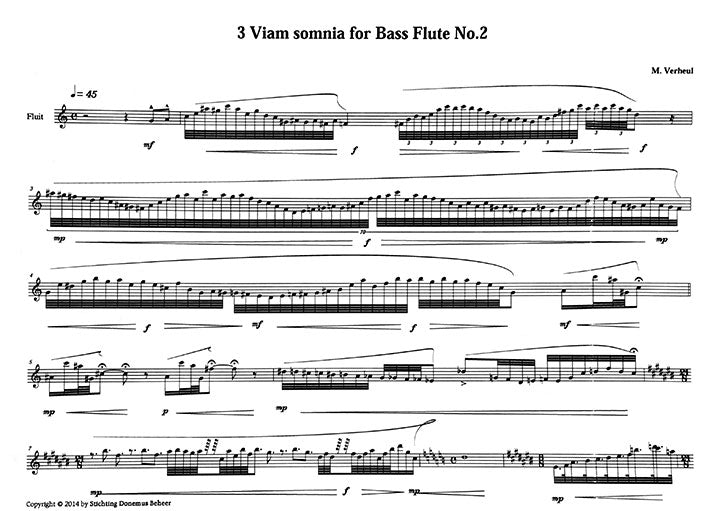 Verheul, M :: Viam somnia No. 2