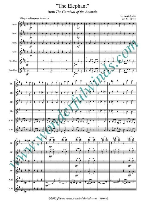 Saint-Saens, C :: The Elephant from Carnival of the Animals