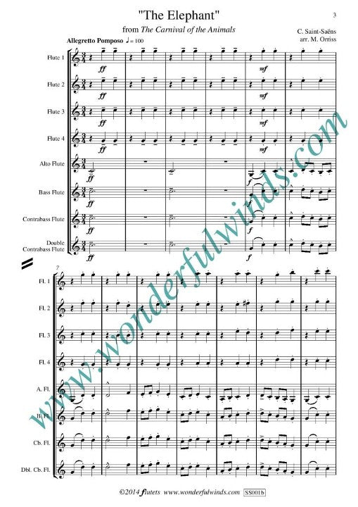 Saint-Saens, C :: The Elephant from Carnival of the Animals