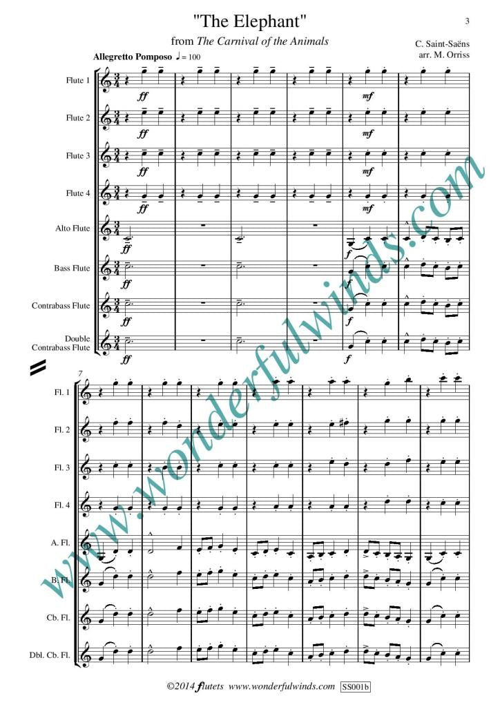 Saint-Saens, C :: The Elephant from Carnival of the Animals